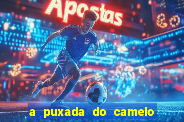 a puxada do camelo no jogo do bicho